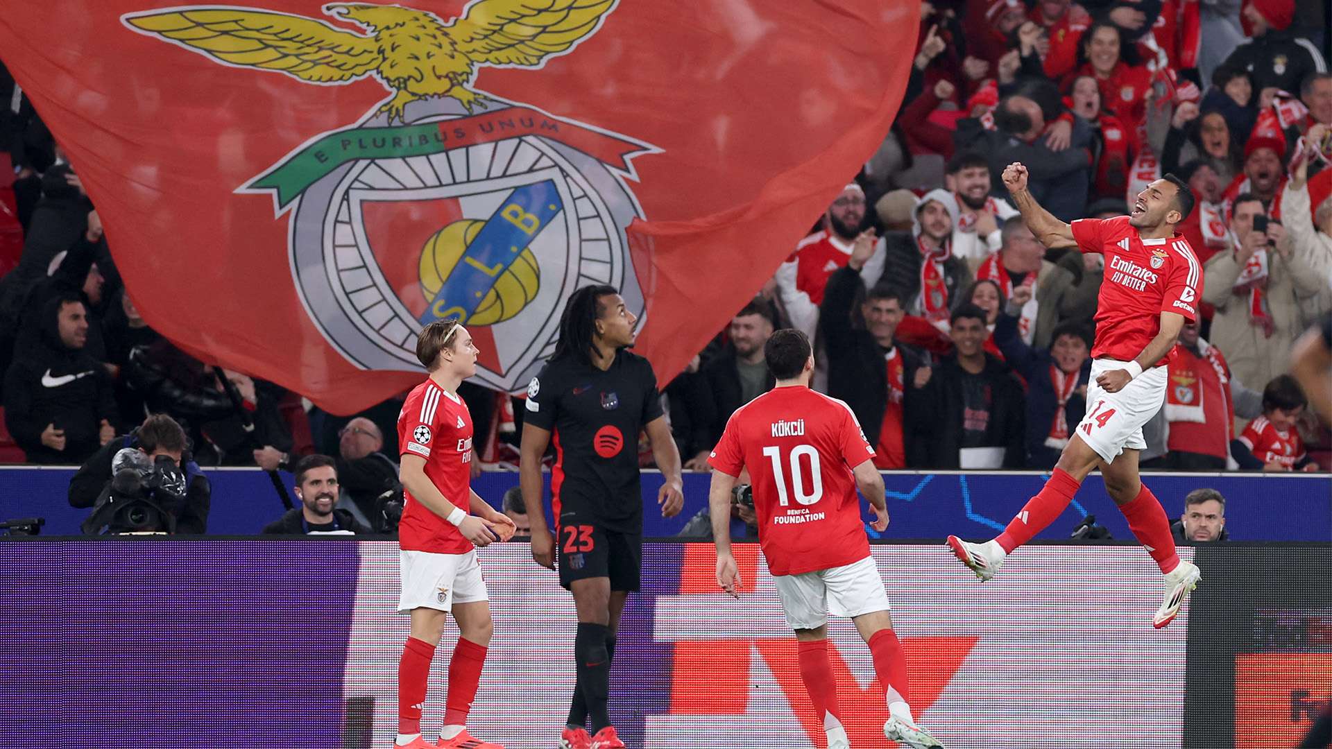 引起外界極 引起外界極